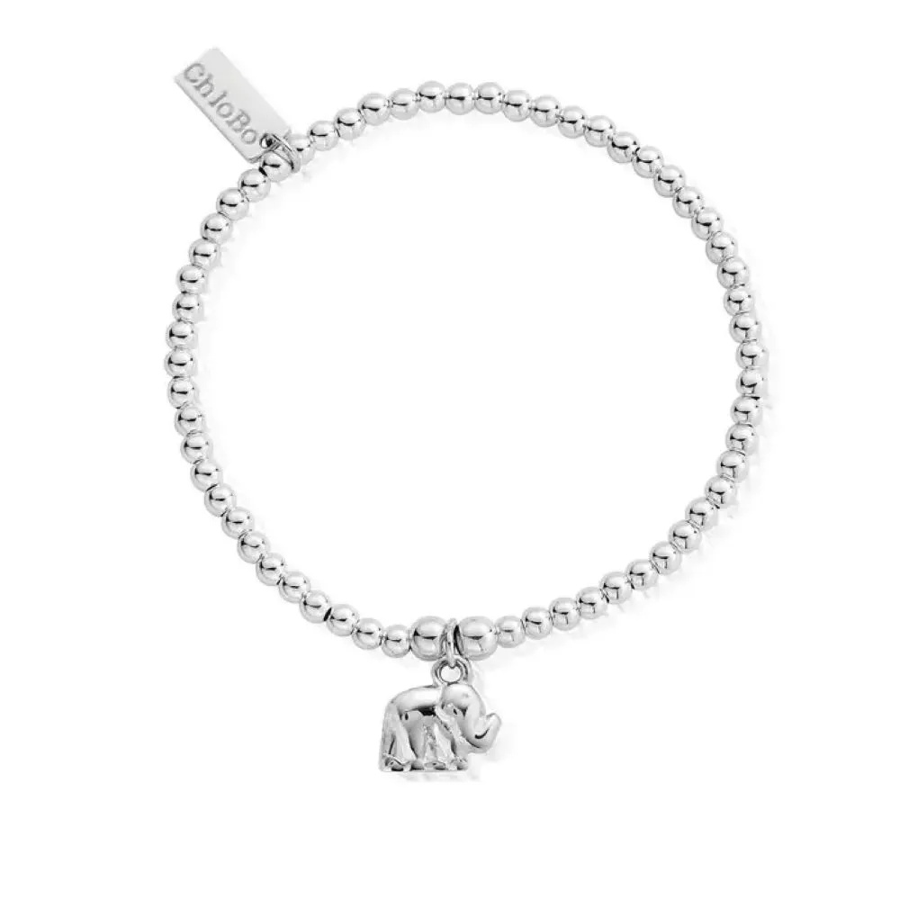 Chlobo Cute Charm Elephant Bracelet Sbcc405